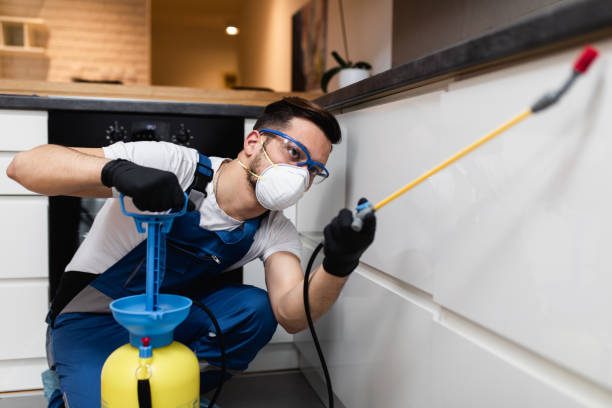 Best Best Pest Control Companies  in Athens, MI