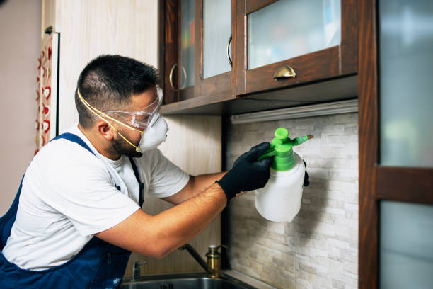 Best Bed Bug Extermination  in Athens, MI