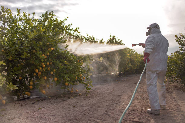 Best Affordable Pest Control Services  in Athens, MI