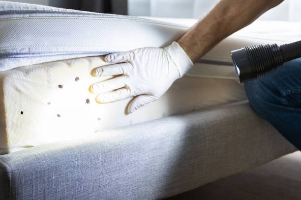 Best Pest Control Treatment  in Athens, MI