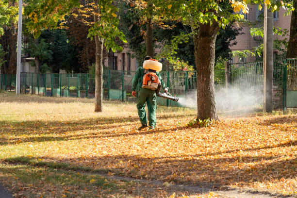 Best Pest Inspection Near Me  in Athens, MI