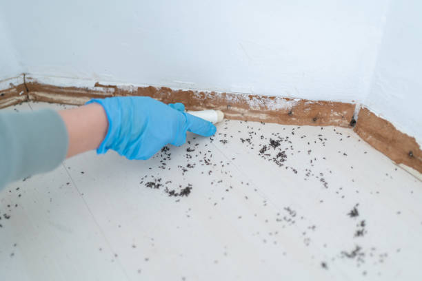 Athens, MI Pest Control Company