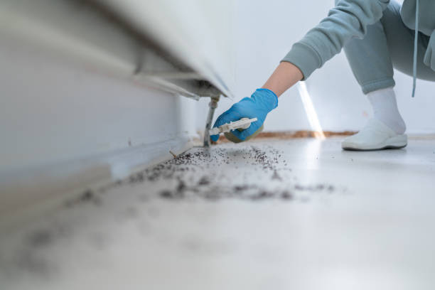 Best Termite Control Services  in Athens, MI